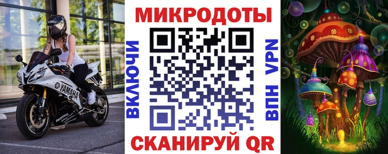 Псилоцибиновые грибы Psilocybe Белый